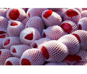 Malla tubular de espuma